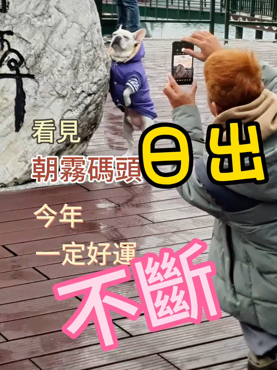 看見朝霧碼頭日出，今年一定好運不斷。😃 #攝影 #形象照 #日月潭 #朝霧碼頭  #車泊 #剪映 #字幕识别 #视频剪辑 