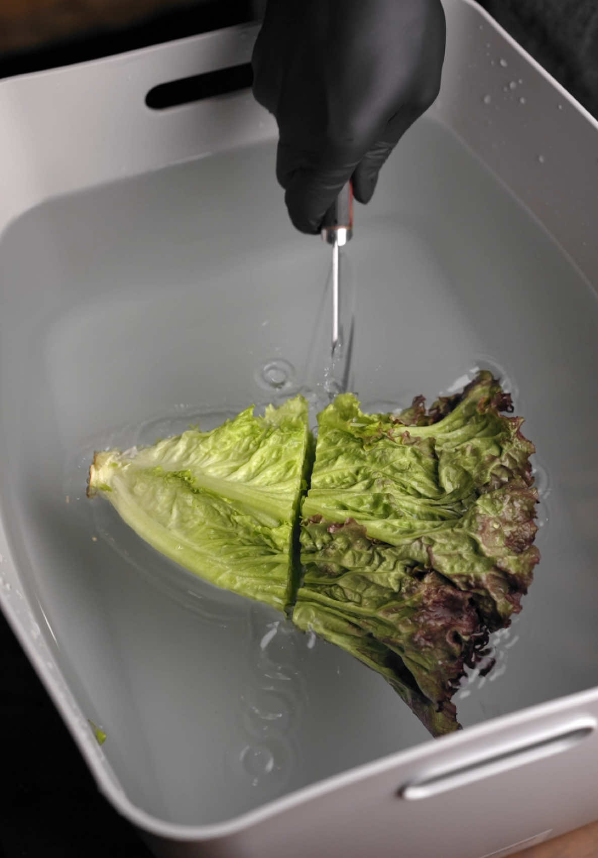 I couldn't cut the lettuce so I sharpened the knife. サニーレタスが切れなかったので包丁を研ぎます🔪✨ #究極の切れ味 #beforefter #asmr 