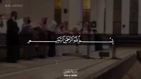 Surah Az-Zukhuf en entier Muhammed Al Luhaiden  #quran #quranrecitation #fyp #pourtoi #quran_alkarim 