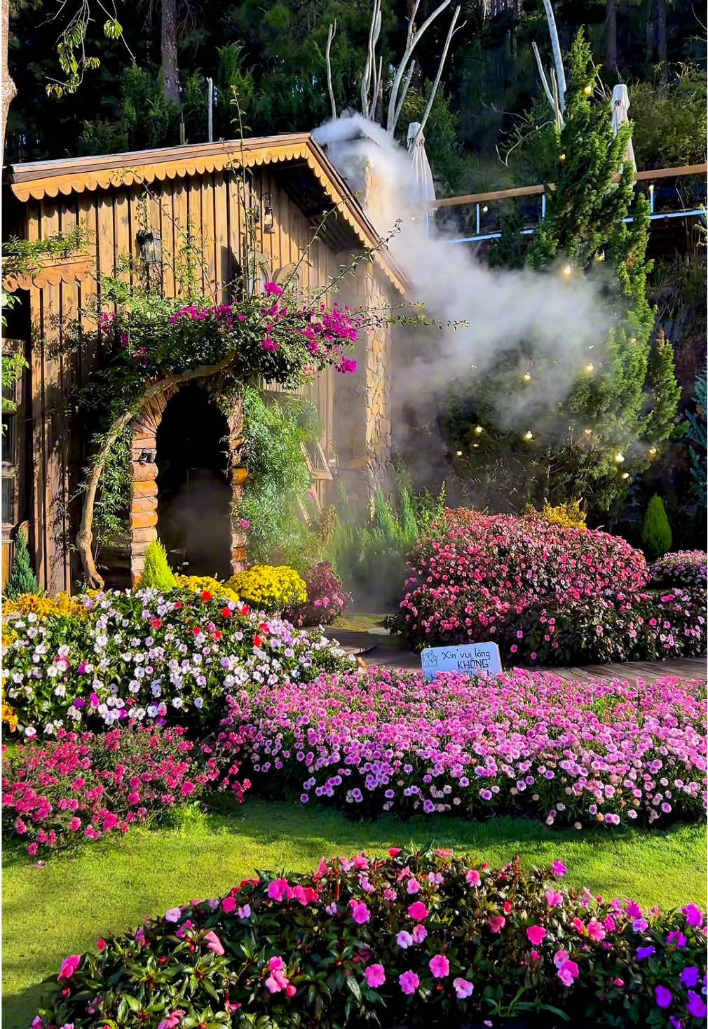 Ghé tiệm lúc 7-9h sáng để có nhiều ảnh xinh cả nhà nghen…!!! #Dalat #Tiemcaphe #Quancaphe #Caphe #Viewdep #TiemcapheTayHo #dulichdalatreview #reviewcaphedalat #dichoimoingay #Reviewdalat #TayHoDaLat 