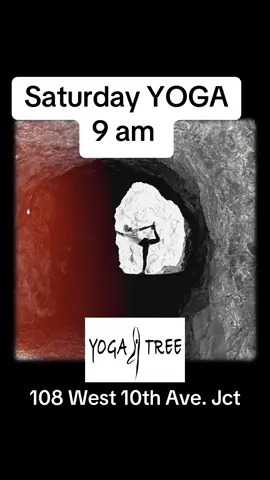 #myyogatree #innergrowth #yoga #befreebeyou #yoga #meditate #peace #johnsoncitytn #travel 