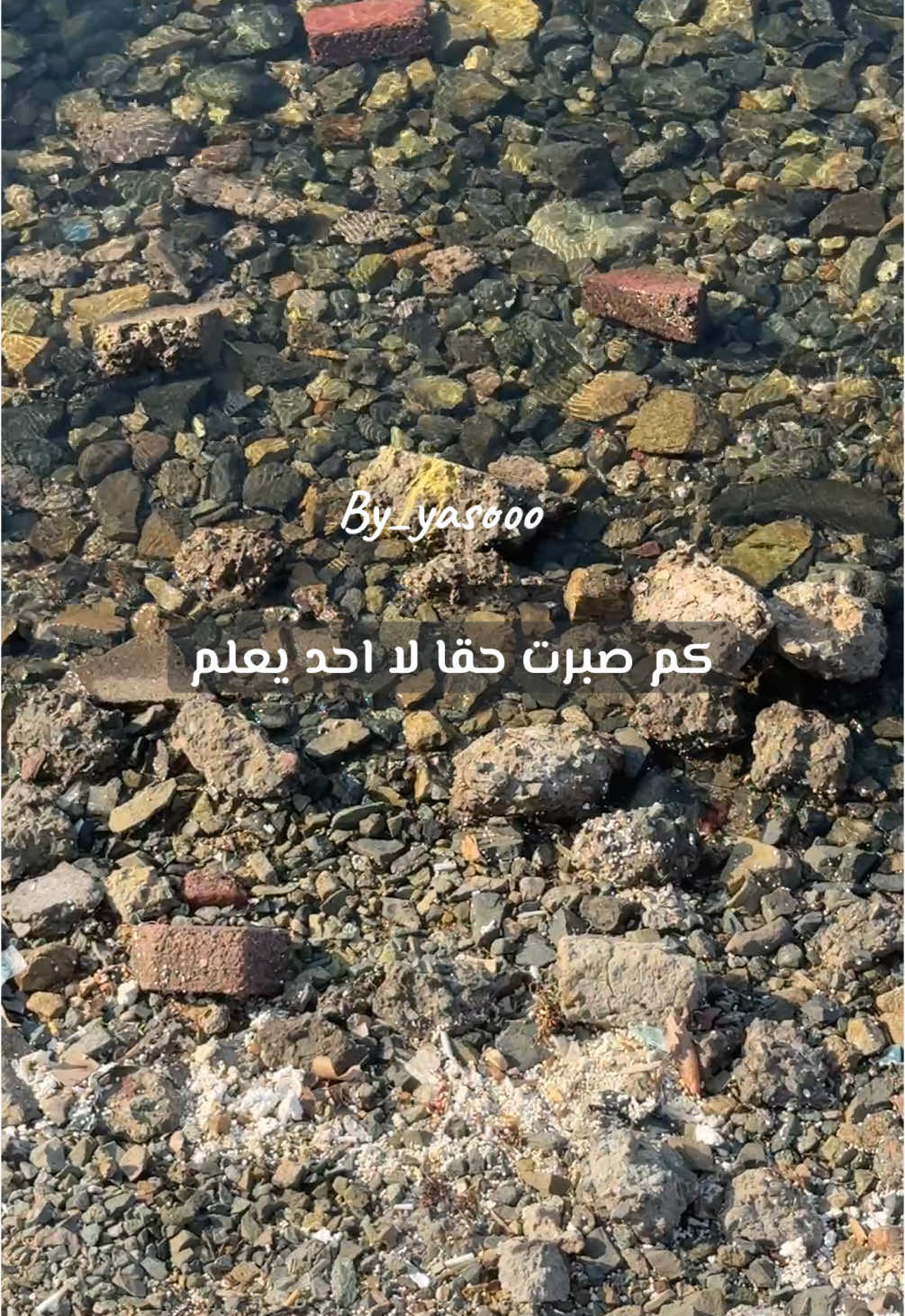 كم صبرت حقا لا احد يعلم #تصوير#viral # flypシ #اكسبلور #by_yasooo  #jeddah  #تصويري 