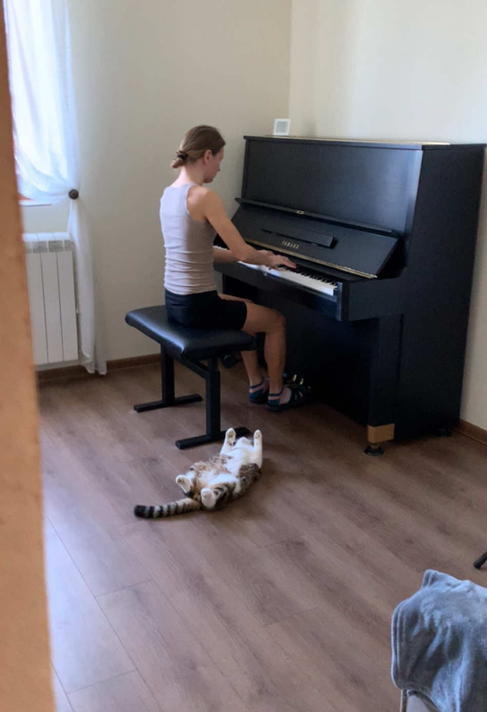 Bring it to perfection so as not to disgrace me! (Zlatko) @pianists_mariana.dimcho  @runners_dimcho.mariana @yamahapianosofficial  #pianopractice #practice #concertpianist #classicalpianist #pianist #pianistsofinstagram #pianistlife #pianists #pianistofinstagram #musik #music #musician #klavierüben #klavier #klavierspielen #klaviermusik #klavierlernen #zuhause #Home #homesweethome #catlover #catlife #catlovers #cats #cats_of_world #catvideos #catvideo #catlife #cats_of_world #catinstagram #catoftheday #chopin 