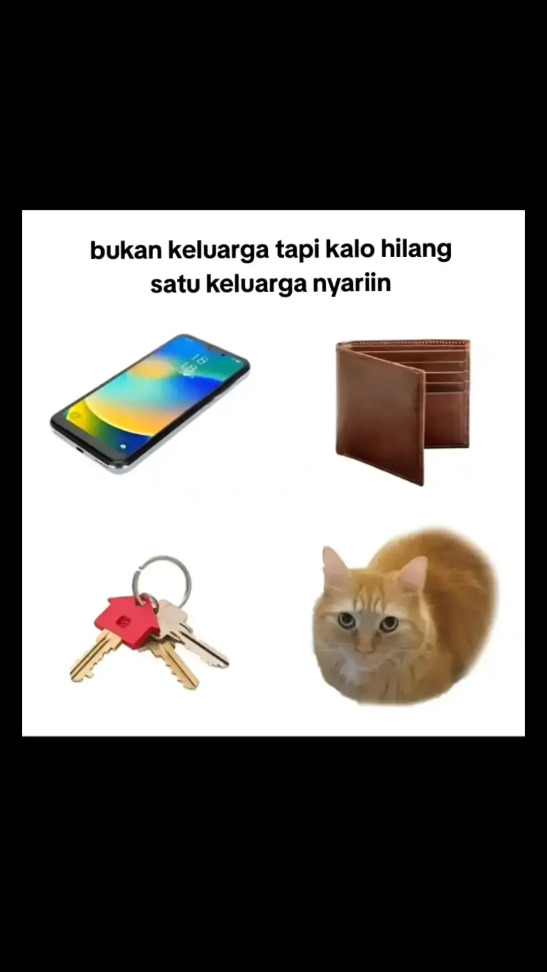 🗿 #masukberandafyp #viraltiktok #viralvideo #kunci #iphone #kucing 