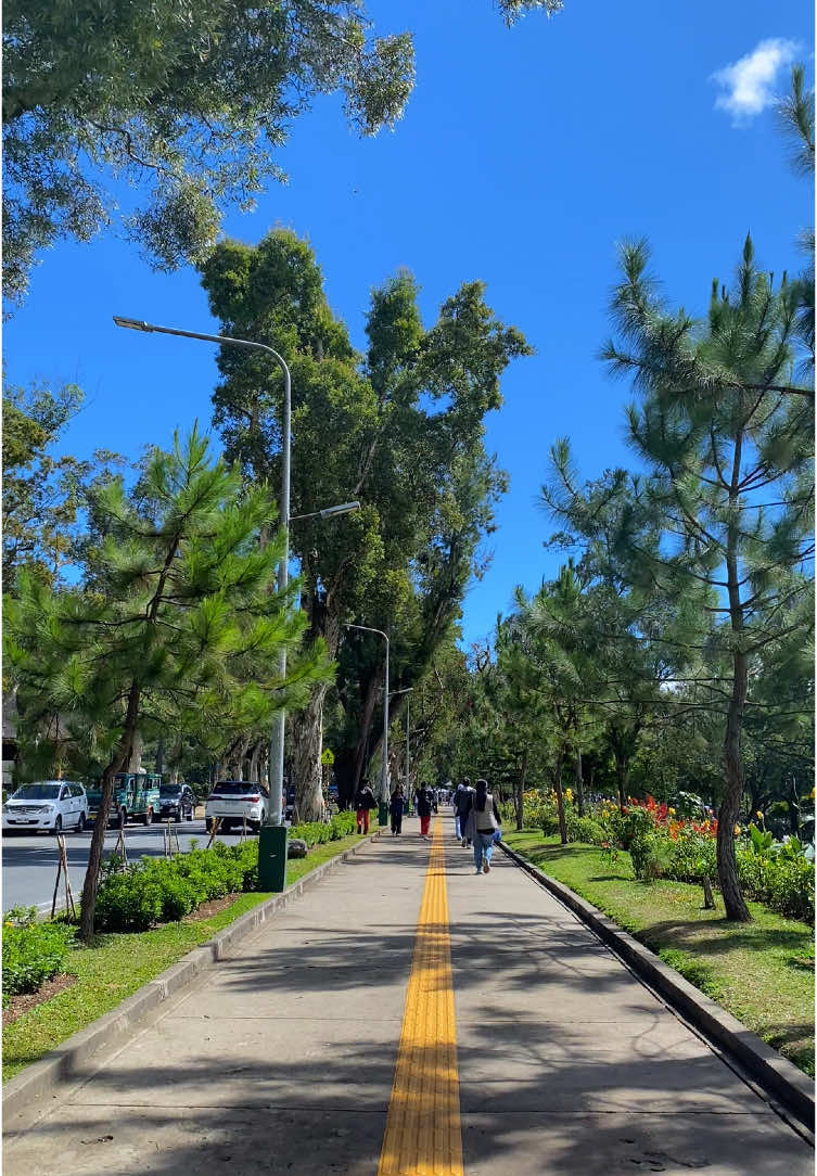 How life sounds when you’re walking through Burnham Park. #fyp #fypage #fypp #fypシ゚ #trendingvideo #baguio #baguiocity #burnhampark 