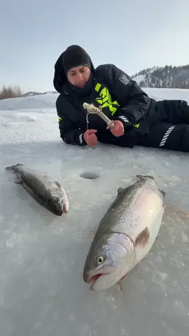 Fishing 😍🔥