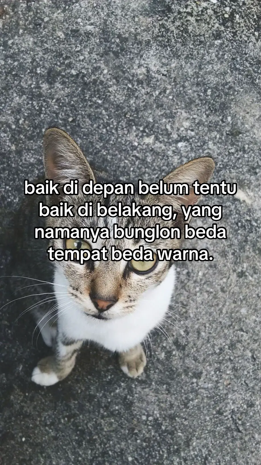 #xyzbca #fypシ゚viral #motivation #fypage #story #sindiran #storywhatsapp #fypシ゚ #masukberandafyp #katakataberkelas #katakatastorywa_ #sekedarkata #4upage #storytime #foryouu #exojvsakithati #katakatamotivasi #fypp #katabijak 