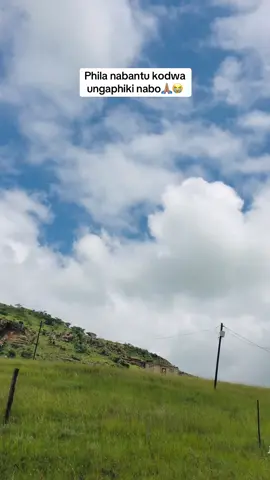 Phila nabantu kodwa ungaphiki nabo🙏🏽😭 #fyp #viral_video #trendingvideo #duo #dúo #seemah #poetry #poem #tyla #footballtiktok #challenge 