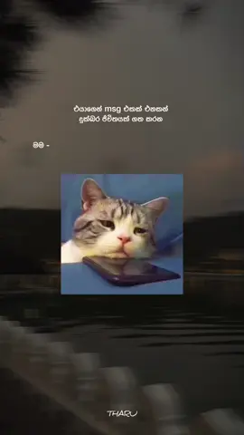 🥹💗 #foryou #flypシ #celon_tik_tok #trending #viralvideo #cupcut #lovestatus #hashtagstiktok 