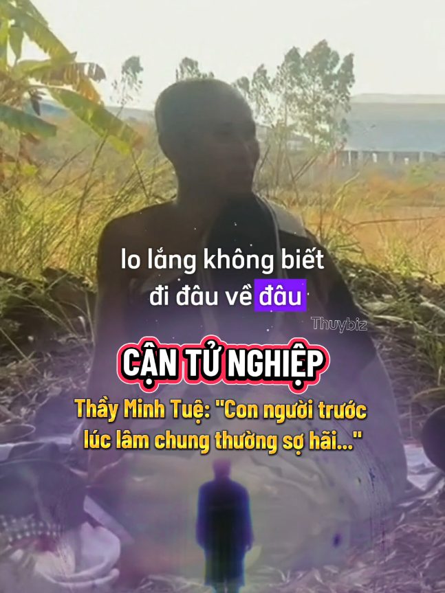 Thầy Minh Tuệ nói về cận tử nghiệp: con người trước lúc lâm chung thường sợ hãi không biết đi đâu về đâu. Bài học Thầy Minh Tuệ. Thầy Minh Tuệ hôm nay tại Thái Lan. C: Lê Khả Giáp #thayminhtuehomnay #minhtue #thayminhtue #thichminhtue #suminhtue #phatgiao #daophat #tutam #thayminhtuemoinhat  #phattaitam #phatphapnhiemmau #phatphap 