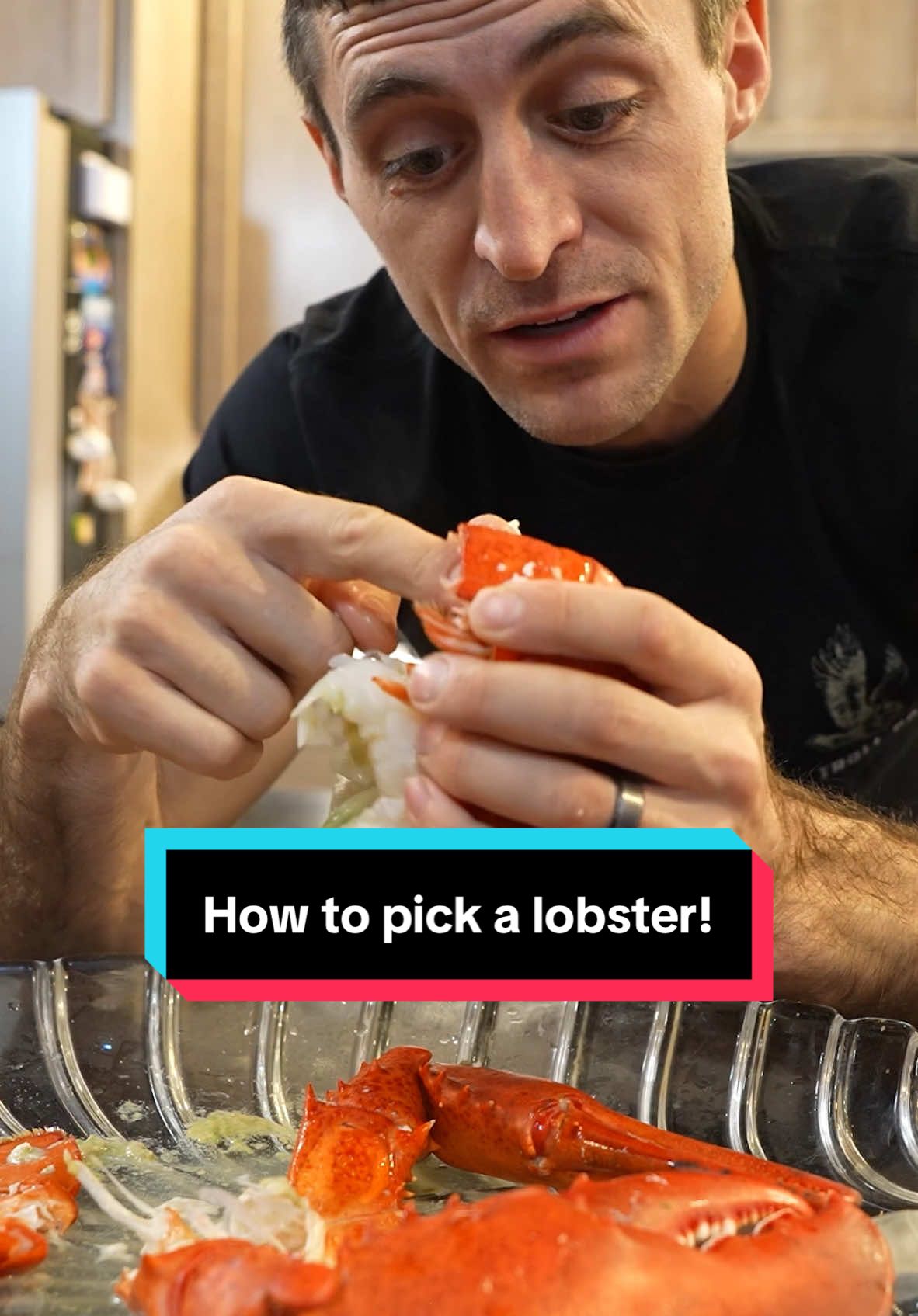 Did you know this trick for picking out lobster tails? #maine #lobster #seafood #cook #DidYouKnow #interesting #educate #learn 
