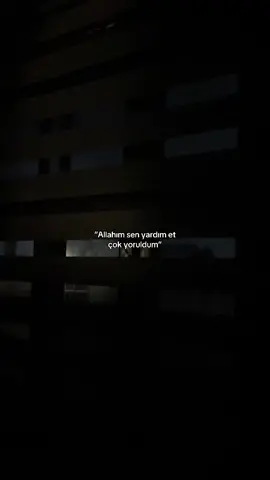 #aliyews 