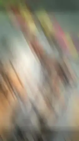 #orthodoxtewahdo #🙏🙏🙏🙏❤️❤️❤️🤲🤲🤲 #viral_video #tigraytiktok🇻🇳🇻🇳tigraytiktok #fyyyyyyyyyyyyyyyyypppppppppppp 