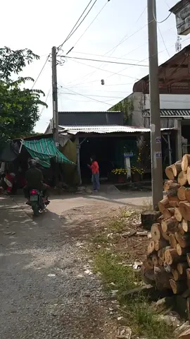 Zề miền tây chơi mới thấy cảnh này nhe quý dị, 4 môn phối kết hợp 😆😆😆 #dacsanmientay  #tenan  #tet2025 