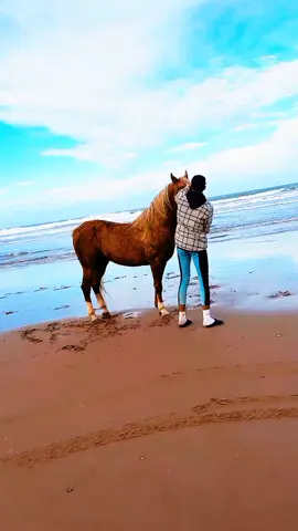 fastest horse 🐎 running 💪  #horses #horsesoftiktok #horse #Running #fast #unitedstates 