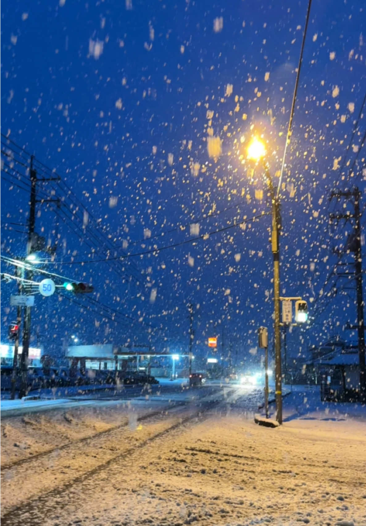 Blue sky and Blue Yung Kai + snow🥶 =💙 #japan #snow #blueyungkai #おすすめ #fypシ 