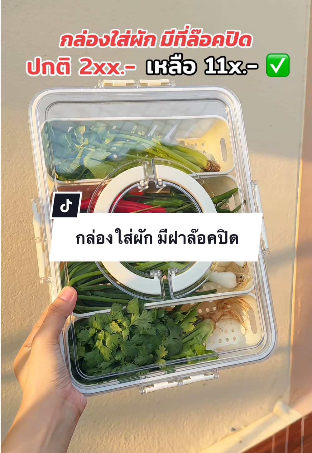 กล่องเก็บผักสด จัดโปรเดือนนี้คุ้มมาก #กล่องเก็บผัก #กล่องใส่ผัก  #กล่องใส่ผักแช่เย็น  #ของใช้ในครัว  #ช้อปกันวันเงินออก  