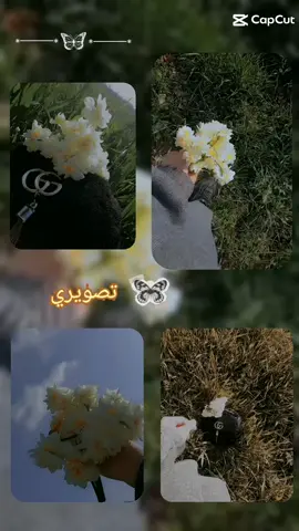 #اكسبلور #تصويري #عشقي #لورد #ادلب #اكسبلور #تصميمي #تصويري_احترافي_الاجواء👌🏻🕊😴 #لادئنيه😌👑 