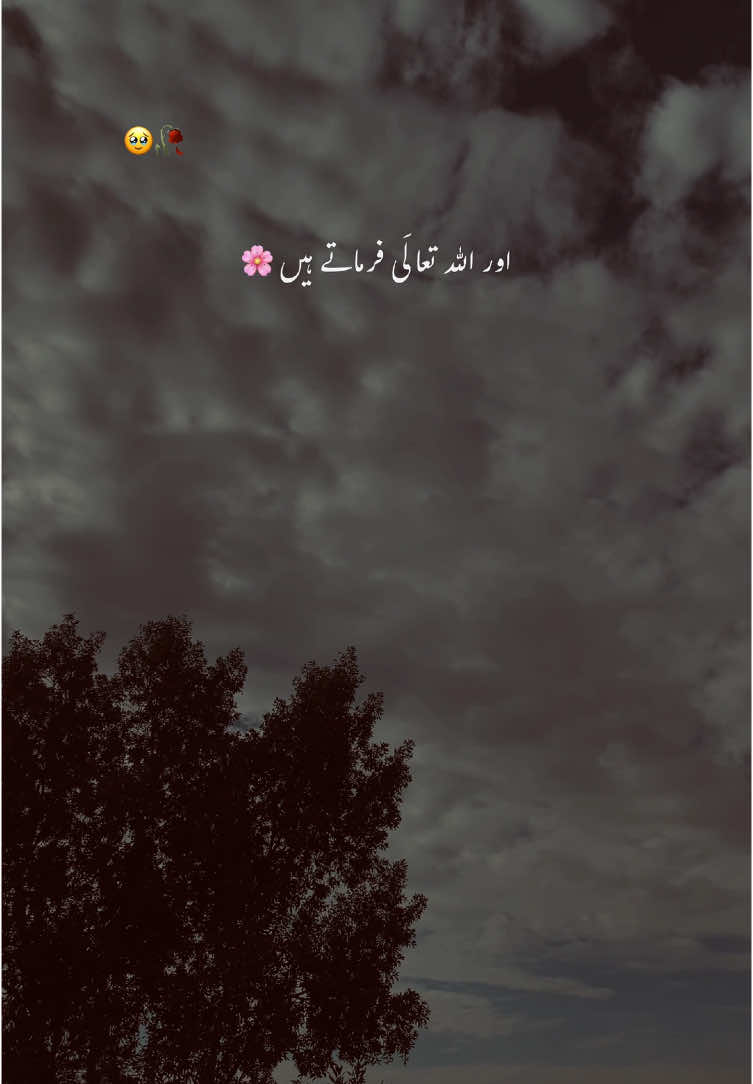 بے شک 🥹🫀#aesthetic #poetry #poetrystatus #foryou #foryoupage #grow #account #1million #uzair 