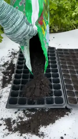 khay ươm hạt giống cây giống tiện lợi#lamvuon #vattunongnghiep #caycanh #bonsaivietnam #sinhvatcanh #phanbon #dungcunongnghiep #dungculamvuon 