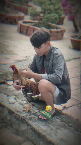 Hết tiền hết bạc,anh không thể cho em đc.... #theodongsukien #xhhhhhhhhhhhhhhhhhhhhhhh #fyp #quocdat #66đồngtháp 