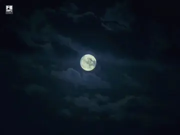 This song I almost heard, a beautiful song. ✨ Sohan Ali  #FBMFC #Music #fbyツ #aurthohin #oddsignature #Music #artcell #warfaze #ashes #bandmusic #LX #fypage #fyyyyyyyyyyyyyyyy #foryoupage #banglabandsong 