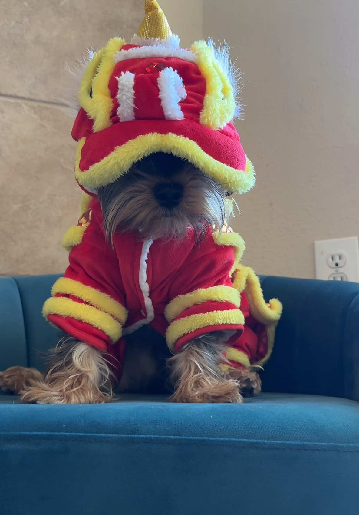 Fit check for Lunar New year 🧧 #lunarnewyear #dragondance #aodai #gwenchana #dogsoftiktok #trending #foryoupage #fyp #tet #lixi #fitcheck