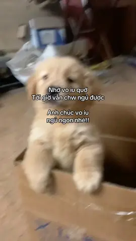 #tinhyeu #tamtrang #Love #ddnxuhuong #viral #fyp #xuhuong #xhhhhhhhhhhhhhhhhhhhhhhhhhhhhh 