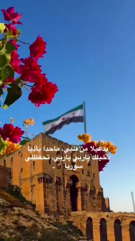 جمال سوريا✨🩶🩶 #سوريا#السعوديه🇸🇦 #ادلب#دمشق#حلب#حماة#الشعب_الصيني_ماله_حل😂😂 #ورد #سوريا #like #throw #waves #dontcare #hand #air #dont #fouryou #video #viral_video 