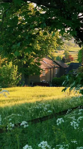 Spring 🍃 // #fyp #foryou #nature 