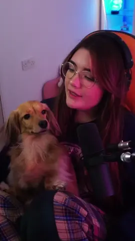 do you think she is guilty? 😔 #dachshund #minidachshund #sausagedog #dogsoftiktok #dachshundlove #dog #fyp