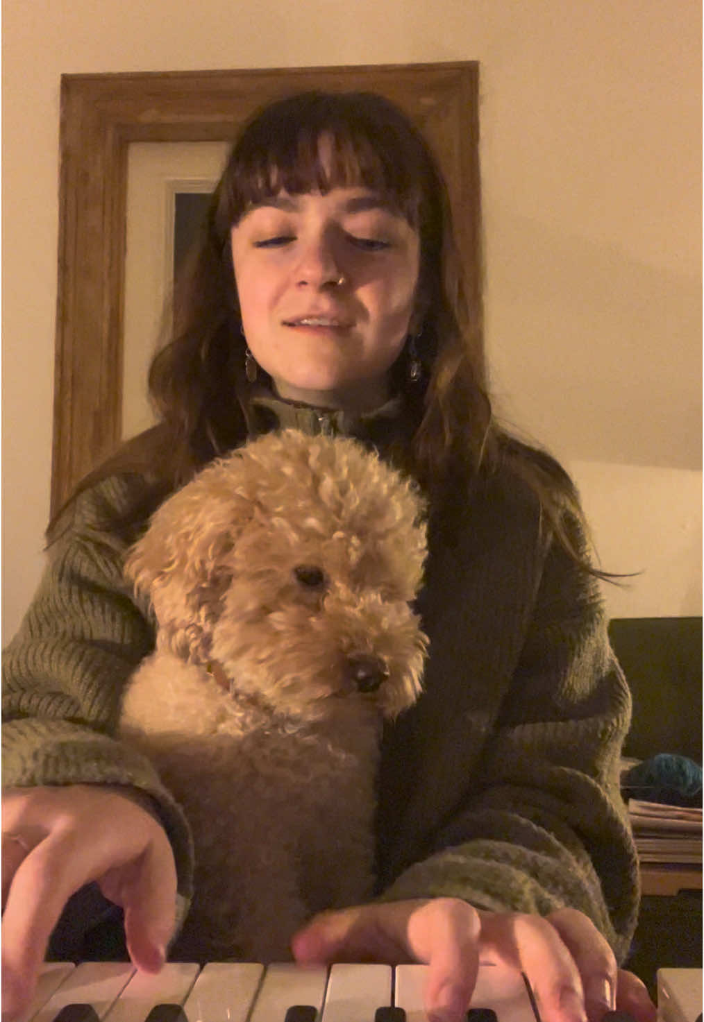 furry duet  #beatles #blackbirds #dog #cutevideo #cutedog #pianodog 