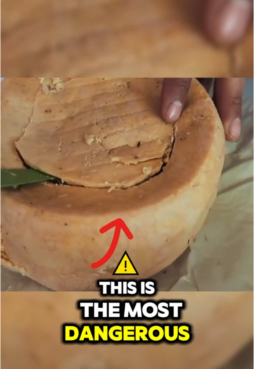 Would You Try This Cheese? 🧀 #casumarzu #cheese #italy #fyp 