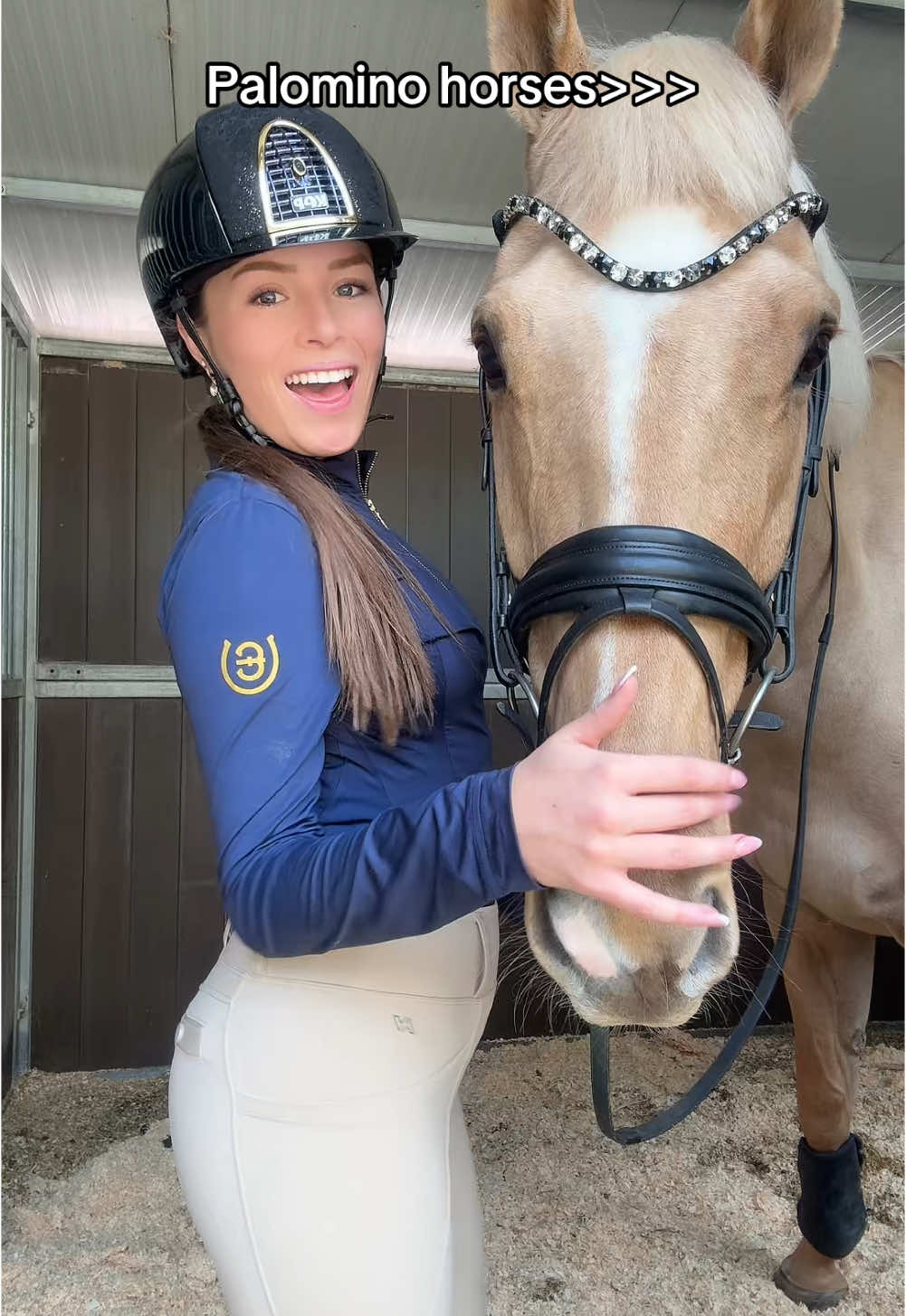 What color is your horse?🫶 #equestrian #horses #equestrianlife #horsesontiktok #horsegirl #hästarpåtiktok #equestriangirl 