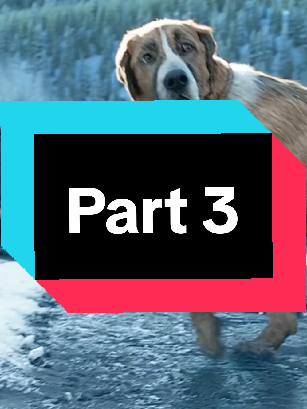 Part 3 The Call of the Wild . . . Like and follow for more 🙌 . . . #thecallofthewild #buck #buckwild #tiktokviral #movie #filme #dog #dogmovie #animalmovie #animal #animalsoftiktok #wolf #movieclips🎬 #filmclips #hollywood #netflixseries #disney #foryoupage❤️❤️ #fyp 