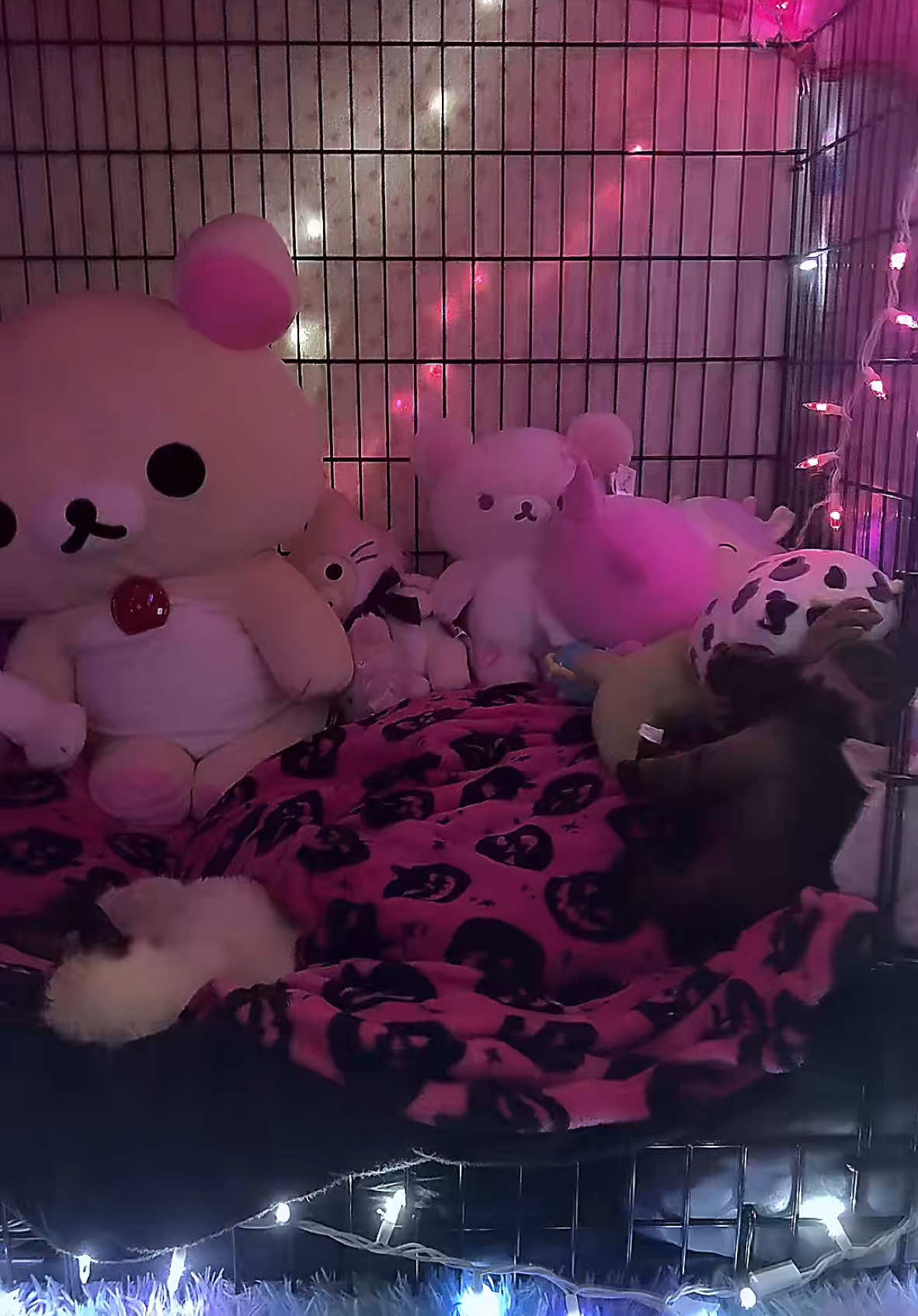 cage tour :D #puppygirl 