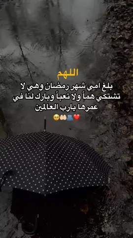 #fyp #منشنو #ستوريات #امي 