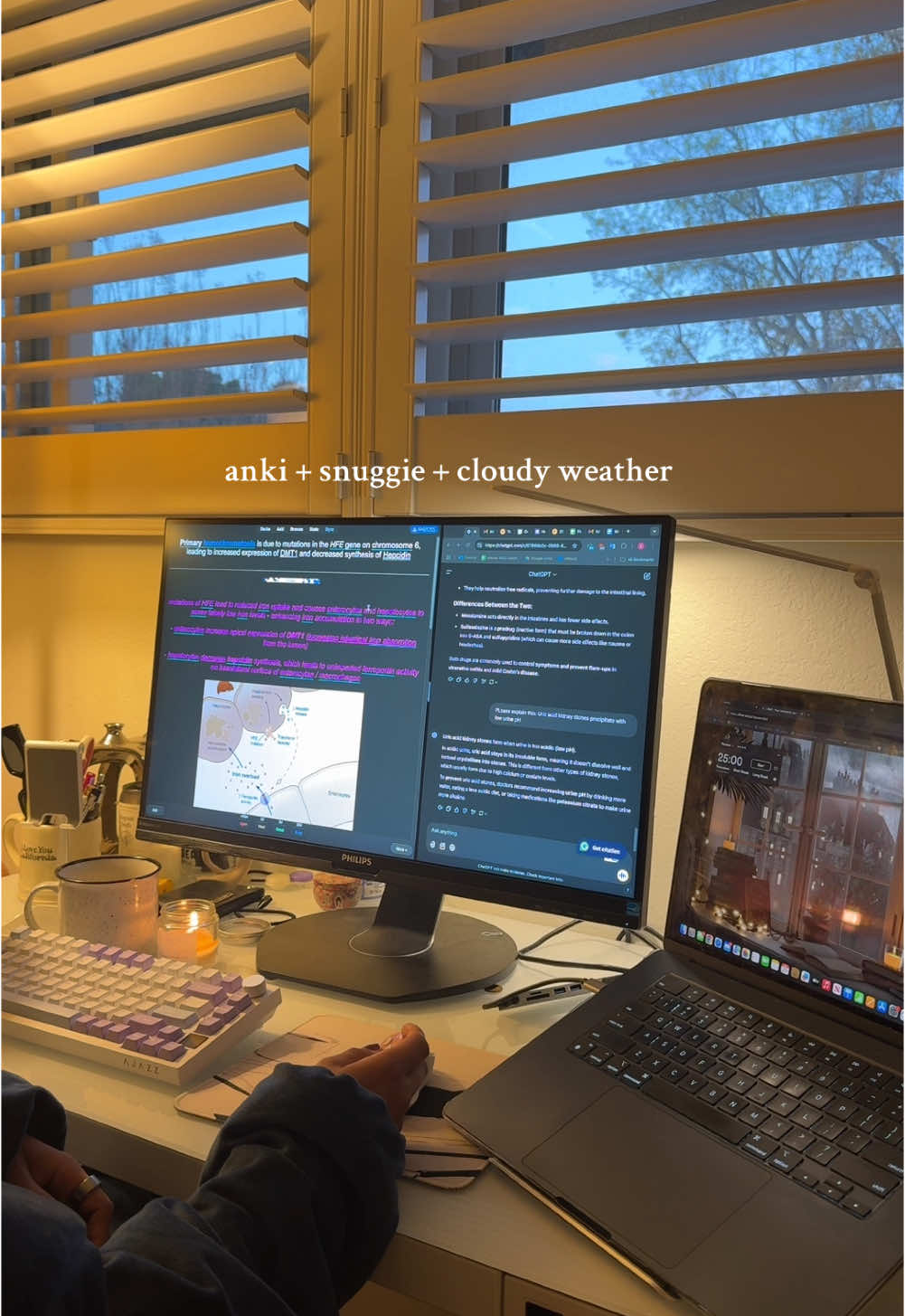 inspired by @Maya 🫡🤍 #study #studywithme #medschool #medstudent #premed #anki #snuggie #medschoollife 