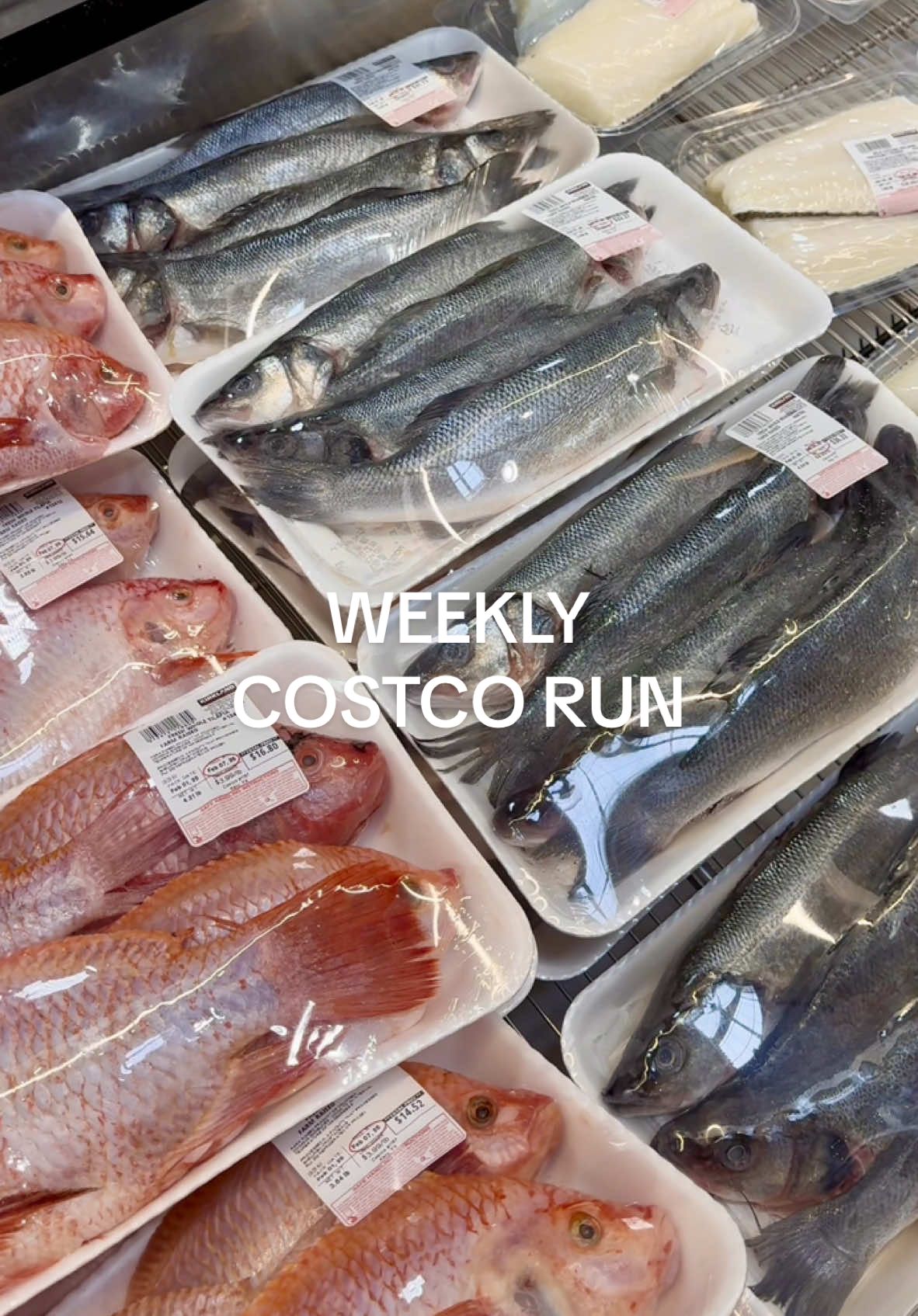 My Weekly Costco haul for our 2 person household, come shop with me at my fav store 🥰♥️🛒 #costco #costcofinds #costcobuys #costcotiktok #costco #costcohaul #costcodeals #shopwithme #costcohaul #asmrshopping #asmrsounds #DinnerIdeas  #costcomusthaves #costcoguys #groceryshopping #fyp #fypシ  #groceryhaul #grocery #groceryrestock