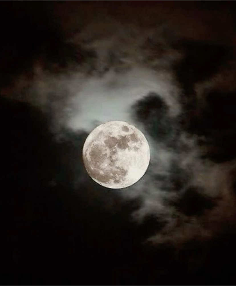 Werewolf vibes 🌕🐺  #capcut #werewolf #wolf #aesthetic #fyp #CapCut 