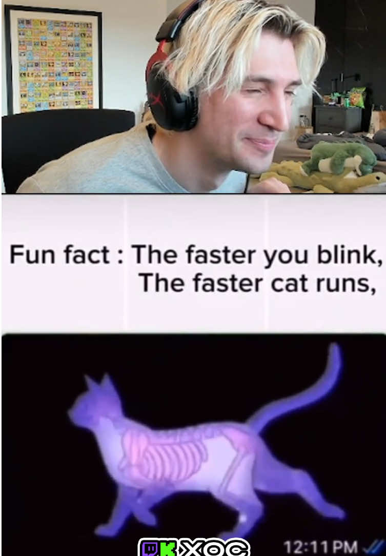 Xqc really falling for this in 2025💀 #xqc #xqcclips #xqcow #fyp #viral 