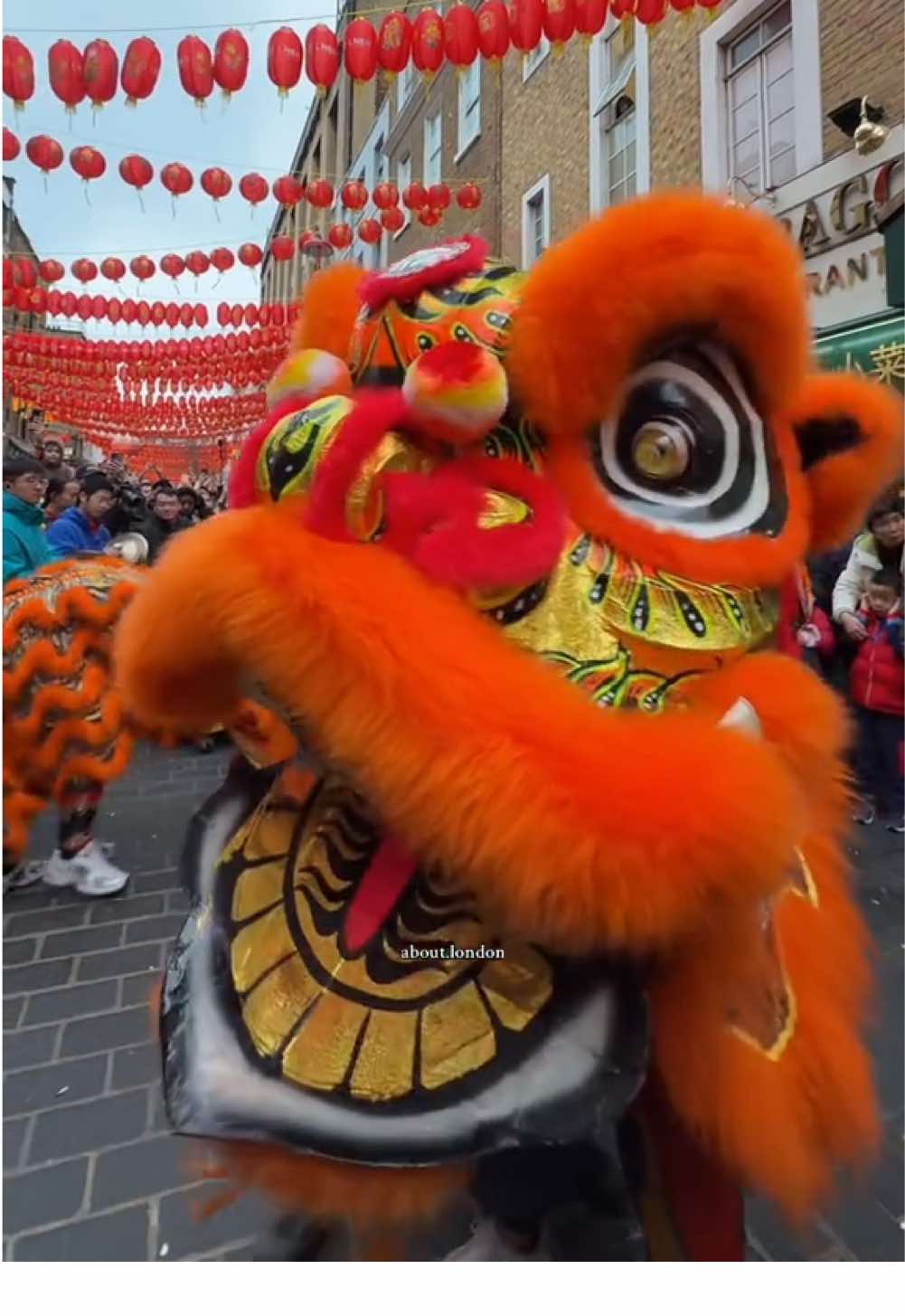 Happy Chinese New Year! Kung hei fat choi🧧#chinatown #celebration #chinesenewyear #chinesenewyear2025 #yearofthesnake #london #fyp @ChinatownLondon 