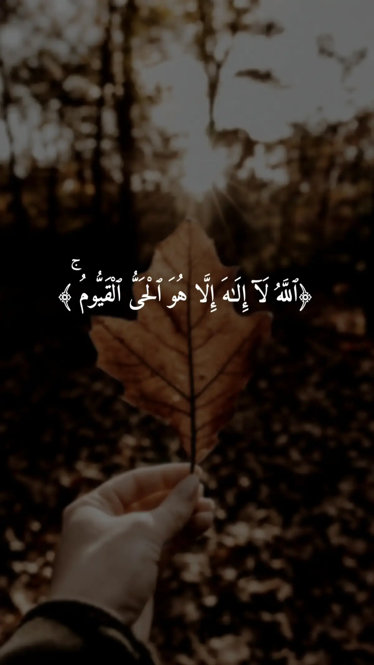 #quran #qu_ran_n #qu_ran_n؛؛قرآن #quran_alkarim #quran #qu_ran_n؛؛قرآن #quran_114st #creatorsearchinsights 