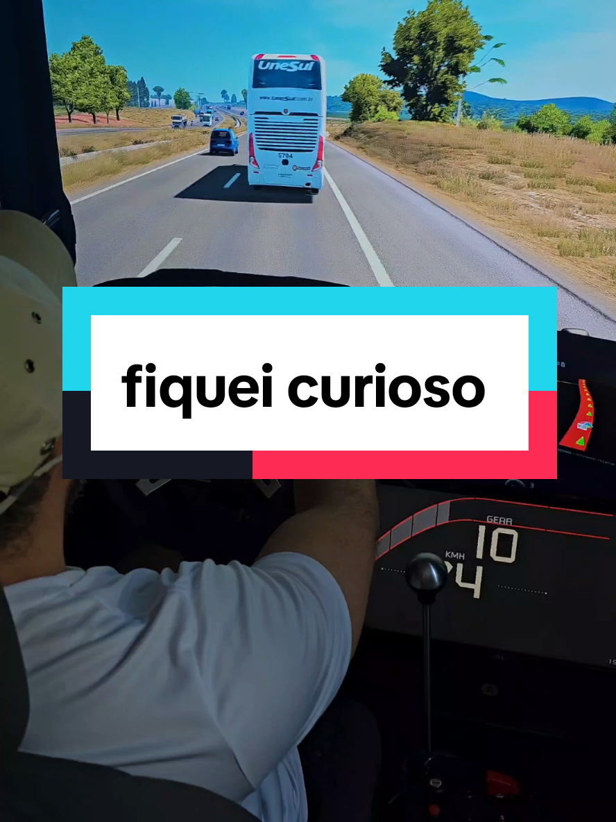 fiquei curioso  #gamesnotiktok #videogame #game #gamer #games #eurotrucksimulator2 