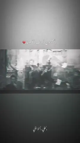يصيحون زينب طلعوها 💔 #علي_الوائلي 