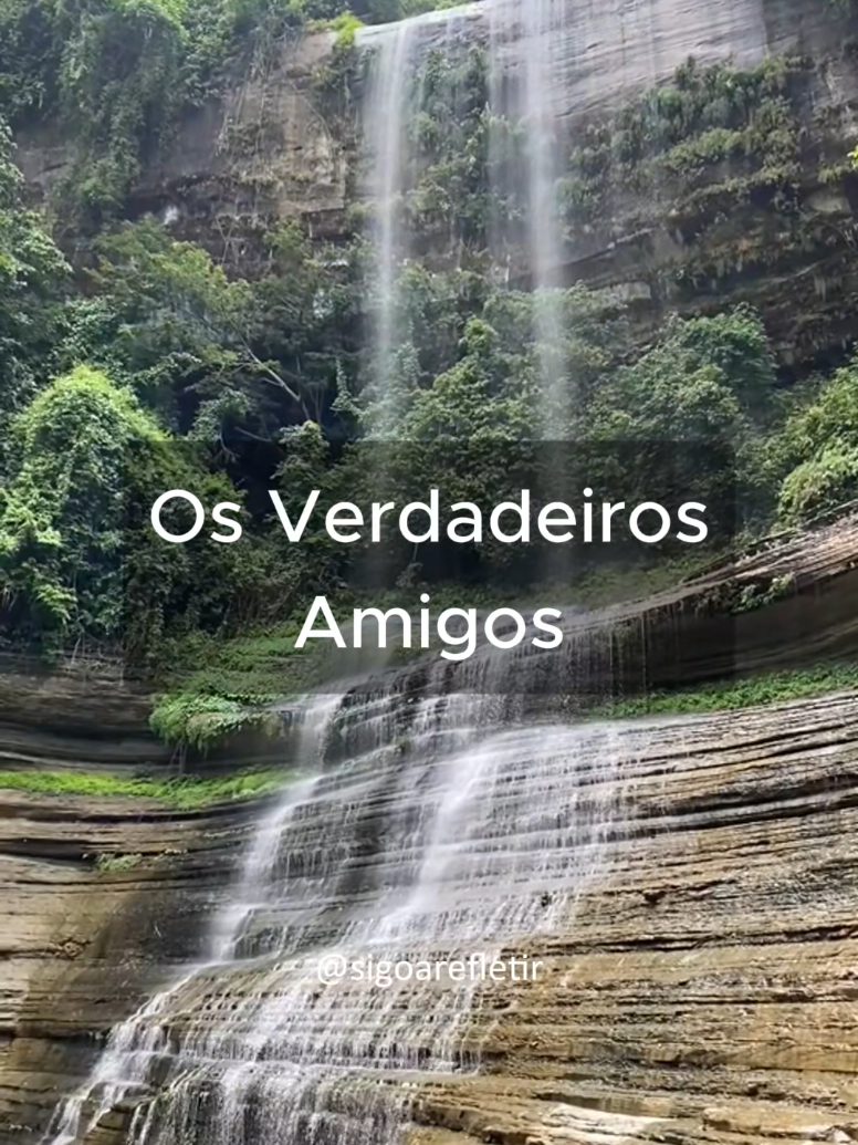 Os Verdadeiros Amigos  #reflexão #inspiração #motivação #pensamentos #frasesmotivadoras 