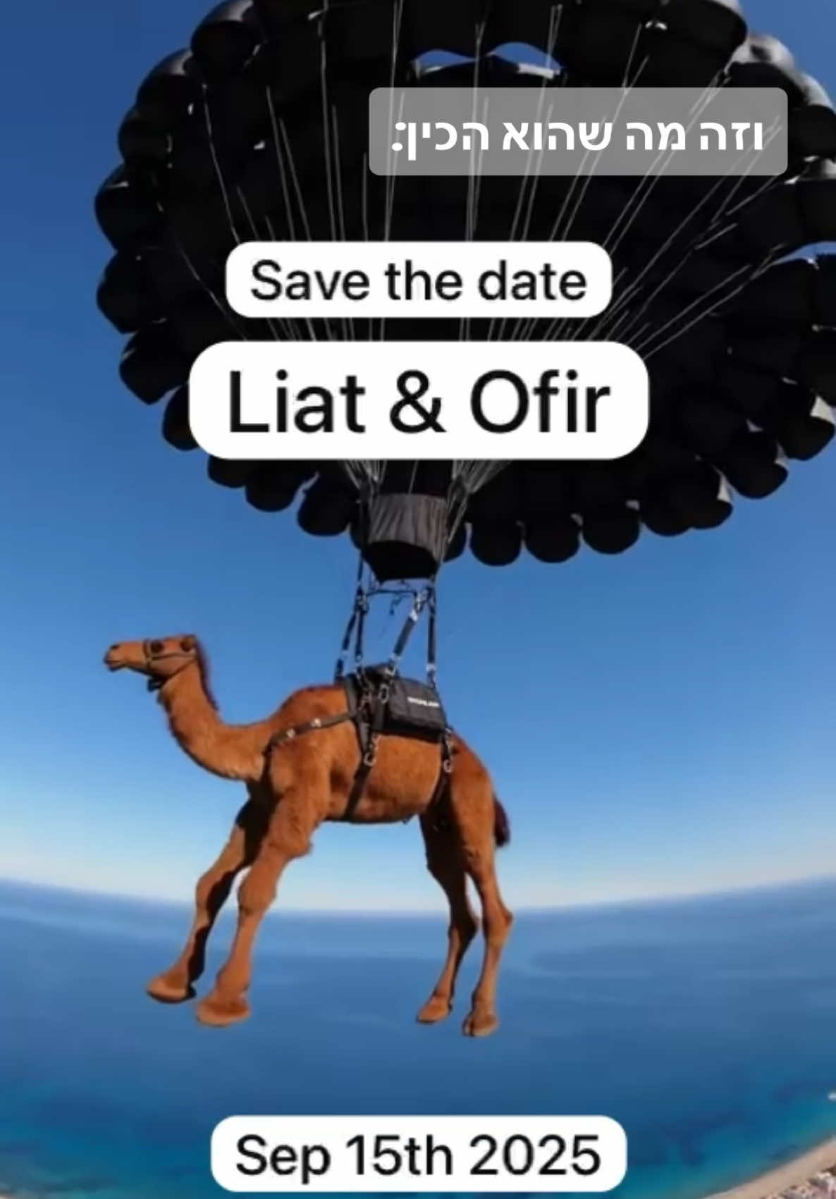 כאילו מה עכשיו עושים #savethedate  #גמל #fy 