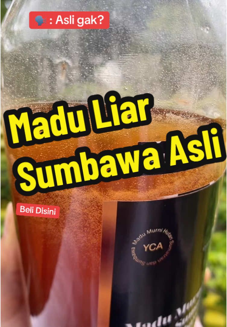 Madu Liar Sumbawa Murni Asli tanpa campuran cobain aja #maduasli #maduliar #madusumbawa #madu 