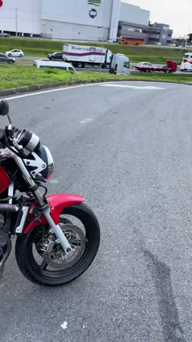 #hornet #hornet600 