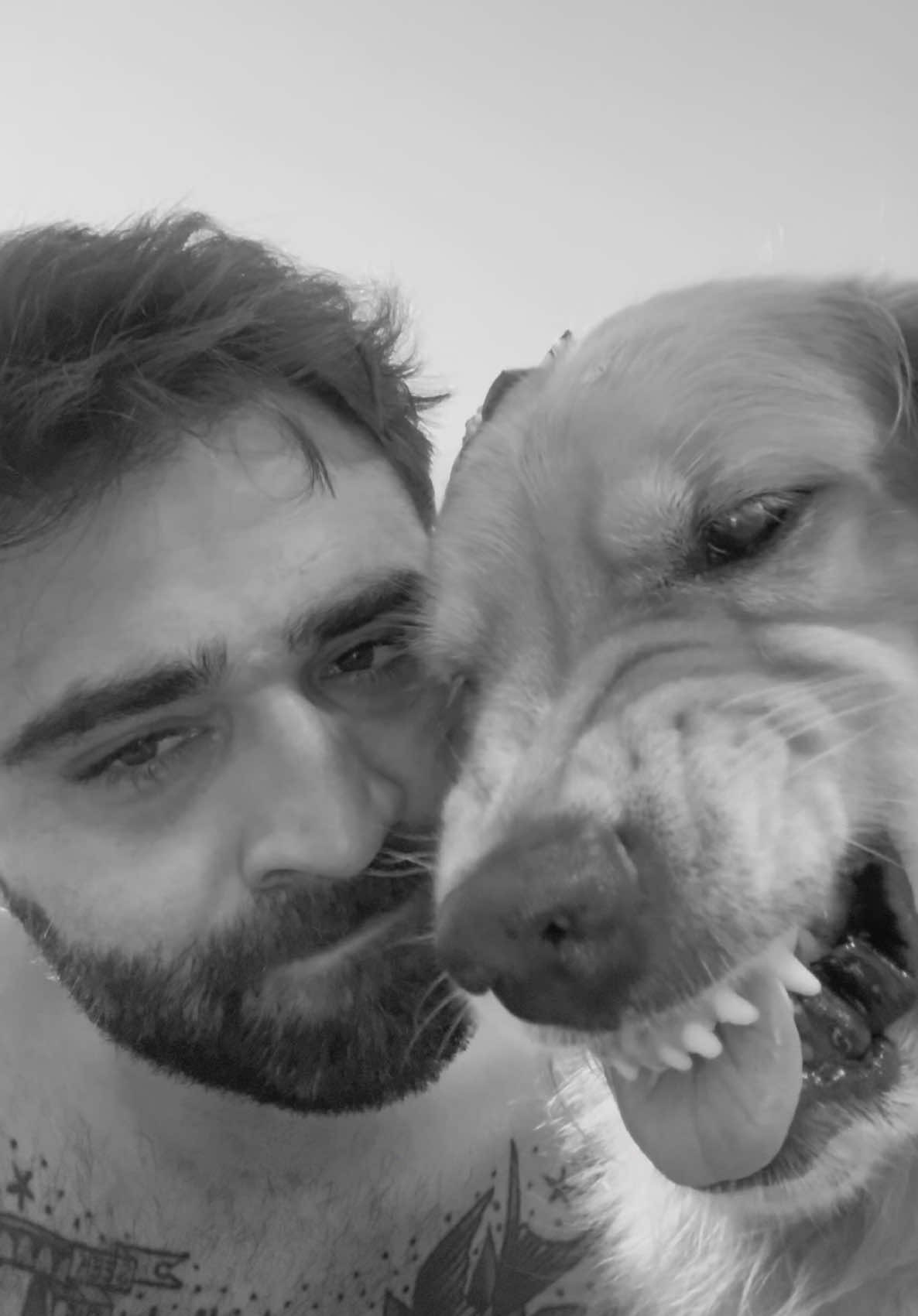 Obrigado Europa Filtros pelo excelente atendimento.. 😂 • • • #goldenretriever #retriever #PetsOfTikTok #retrieversoftiktok #comedia #cachorrosdotiktok #animalsoftiktok #pets #goldenretrieverlife #cachorrosengraçados 